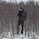 Profile Picture of Evan Thomas-richards (@co-->mn) on Flickr