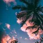Profile Picture of John Keeney (@john.keeney.33886) on Instagram