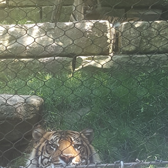 Profile Picture of Ash Rob (@ashrob12345) on Poshmark