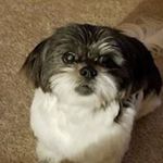 Profile Picture of Vicki Dietle-Mackey (@vicki_dietle_mackey) on Instagram