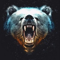 Profile Picture of Snipa Bear (@snipa-bear) on Quora