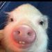 Profile Picture of Adam Griswold (@southpark407) on Pinterest