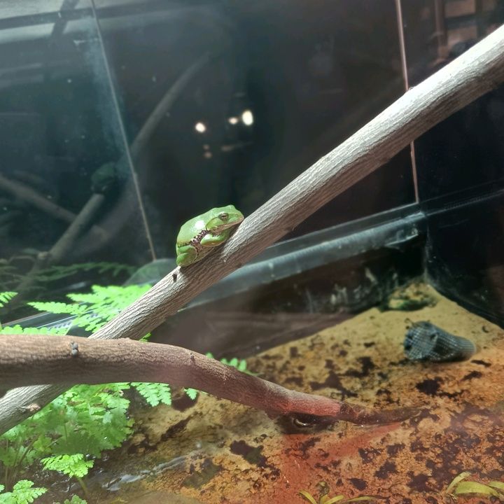 Profile Picture of Christopher.Clayton (@devoncembb5) on Tiktok