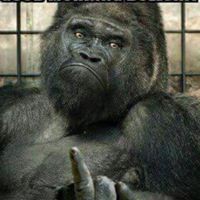 Profile Picture of Paul Jeffries (@paul-jeffries-21) on Quora