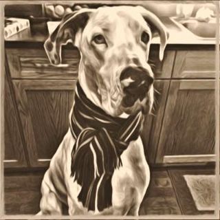 Profile Picture of Aaron Coops (@aaron.coops) on Facebook