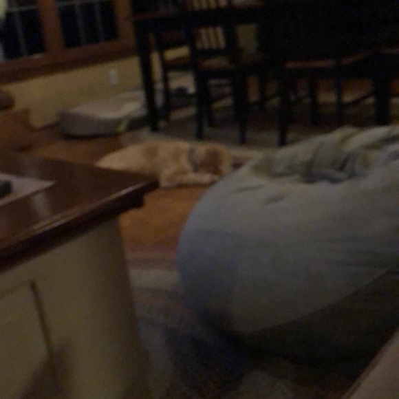 Profile Picture of Michelle Melocchi (@mmelocchi) on Poshmark