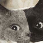 Profile Picture of Pamela Rogan-Smith (@pamelarogansmith) on Instagram