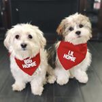 Profile Picture of Bentley & Harvey (@bentleyandharvey) on Instagram