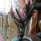 Profile Picture of Randall Wyatt (@randall.wyatt.5055) on Facebook