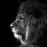 Profile Picture of Carlos Tercero (@carlostercero10) on Instagram