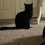 Profile Picture of Andrew Bryner (@andrew.bryner.357) on Facebook