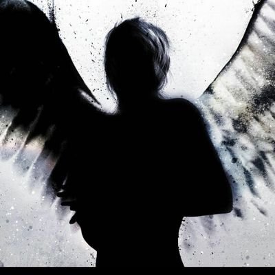 Profile Picture of Rosa Schneider (@rosasch61207892) on Twitter