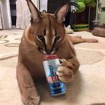 Profile Picture of Mateusz Górski (@pal_wrote_type) on Instagram