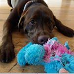 Profile Picture of Kim Garrow (@kim_garrow) on Instagram