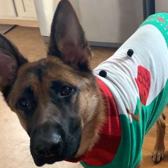 Profile Picture of Patrick Horting (@phortint) on Poshmark