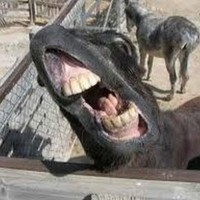 Profile Picture of Dunkey  (@dunkey-1) on Quora