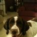 Profile Picture of James Nocerini Sr. (@James-Nocerini-Sr) on Facebook