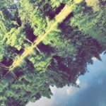 Profile Picture of Daniel Sibley (@d.sibley04) on Instagram