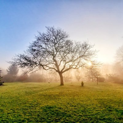 Profile Picture of Dave Griffiths (@davegriff) on Twitter