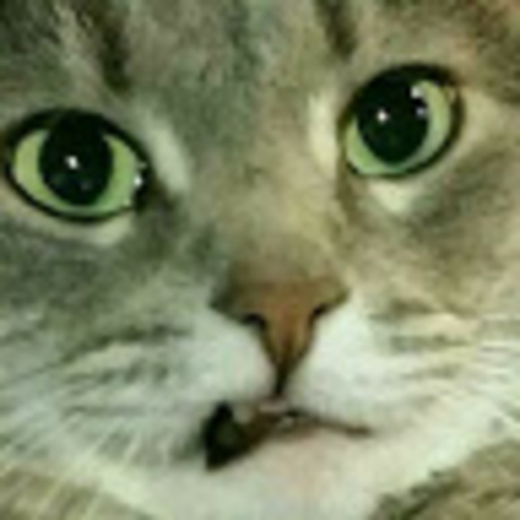 Profile Picture of Robert Ayers (@noahayers3) on Poshmark