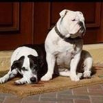 Profile Picture of Rita Campos (@rmcampos47) on Instagram