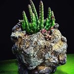 Profile Picture of DaxBennett (@after_dax_arts) on Instagram