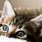 Profile Picture of Beverly Craig (@beverly.craig.12764) on Facebook