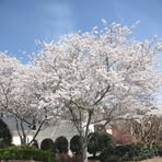 Profile Picture of Hugo Enamorado (@hugo.enamorado.5623) on Facebook