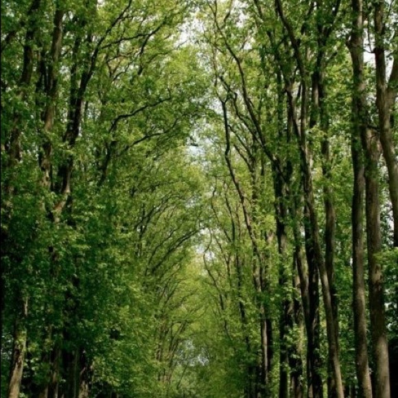 Profile Picture of J Ramirez (@jrami12117) on Poshmark