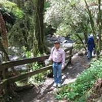 Profile Picture of Hock Ng (@hock-ng-1) on Quora