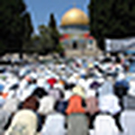 Profile Picture of Nehad Zarkawy (@nehad-panet) on Flickr