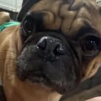 Profile Picture of McKenna Lyons (@McKenna-Lyons) on Facebook