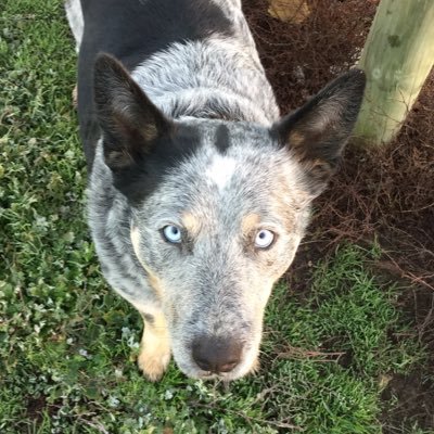 Profile Picture of Jess Rustman (@RustmanJess) on Twitter