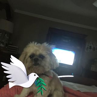 Profile Picture of Frances Spires (@Frances-Spires) on Facebook