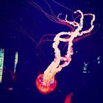 Profile Picture of Emily Lucile buffington (@emilybmar3) on Instagram
