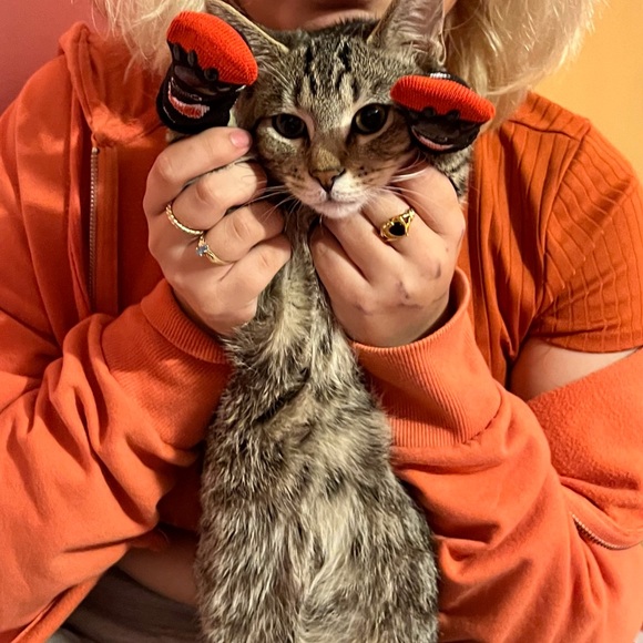 Profile Picture of Morrigan Mcclure (@morriganmcclure) on Poshmark