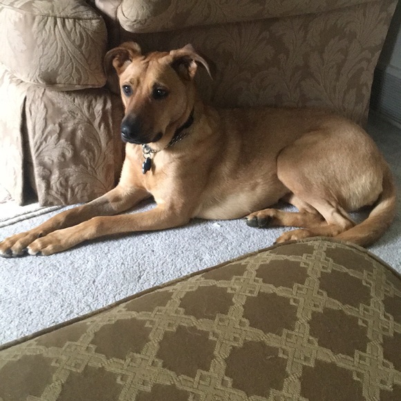 Profile Picture of Kara Howson (@khowson3) on Poshmark