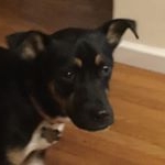 Profile Picture of IanOlszewski (@ianturtule415) on Instagram