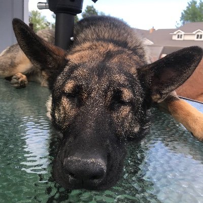 Profile Picture of Kevinhoth (@Kevinhoth4) on Twitter