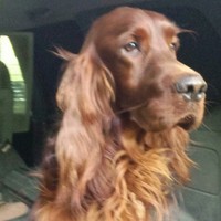 Profile Picture of Peter Brady (@peter-brady-30) on Quora