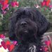 Profile Picture of Rita Neufeld (@rita.neufeld.7) on Facebook
