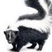 Profile Picture of James Spooner (@james.spooner.7355) on Facebook