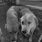 Profile Picture of Abril Eichenberger (@abril.eichenberger) on Facebook