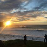 Profile Picture of Fabio Meira (Monkey) (@monkeyfabio) on Instagram