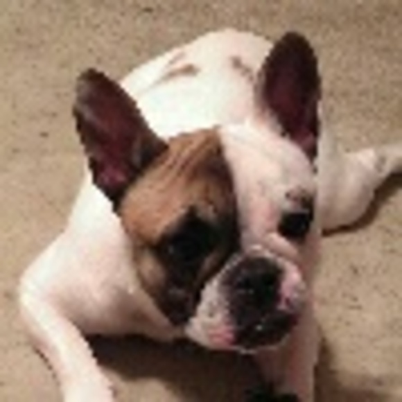 Profile Picture of Lynn Brewart (@remama) on Poshmark