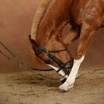 Profile Picture of leah.ratcliffe60 (@leah.ratcliffe60) on Instagram