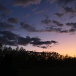 Profile Picture of Ƙεʆʆψ ϖίϯϯίɡ (@kelly_wittig_) on Instagram