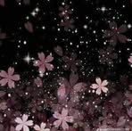 Profile Picture of Rawan Ebrahim (@Rawan-Ebrahim) on Facebook