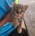 Profile Picture of Benjhamin Chura (@benjhamin.chura) on Facebook