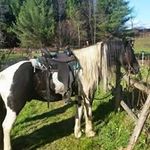 Profile Picture of Eric Perrigo (@perrigoeric) on Instagram